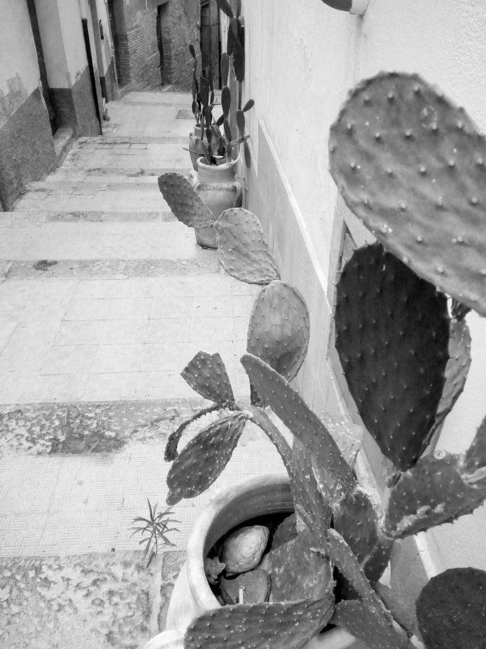 B&B Al Centro Storico アグリジェント エクステリア 写真